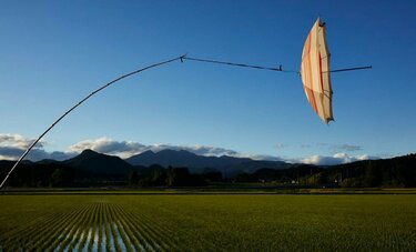「日本の風景は農業がつくっている」　写真家・公文健太郎がたどり着いた「かかしの気持ち」