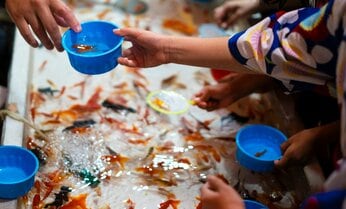 読者が選ぶ「好きな屋台」ランキング たこ焼き、かき氷を押さえたトップは 連れて帰ったひよこの行く末は… 【AERAアンケート結果発表】