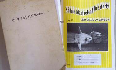 行くなら今！　今月で営業休止する志摩マリンランドのマンボウ的魅力