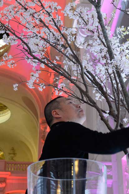 満開の桜の枝を会場で飾り付ける赤井勝さん。日本でも４月末まで同様のイベントを手がける（写真：ＯＮＥＳＴＯＲＹ提供）