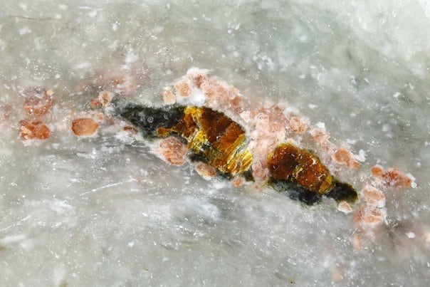 写真・図版（1枚目）| 新鉱物・アマテラス石の発見