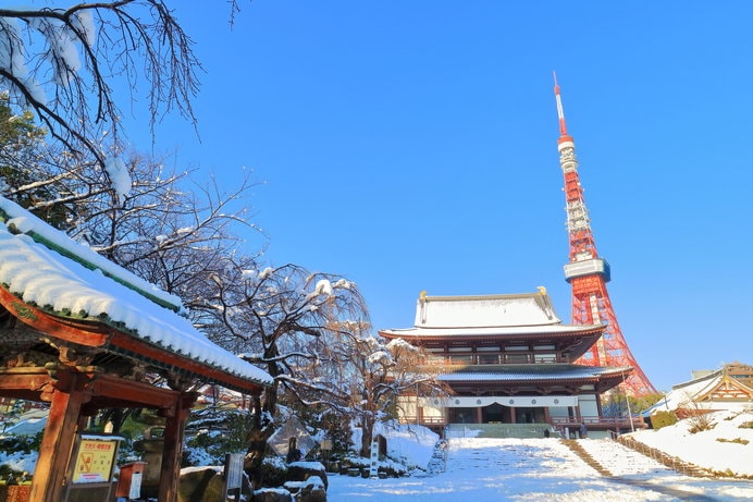 冬の増上寺と東京タワー