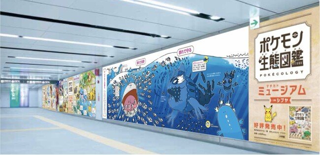 写真・図版（1枚目）| ポケモン生態図鑑 マチカドミュージアム in シブヤ のお知らせ
