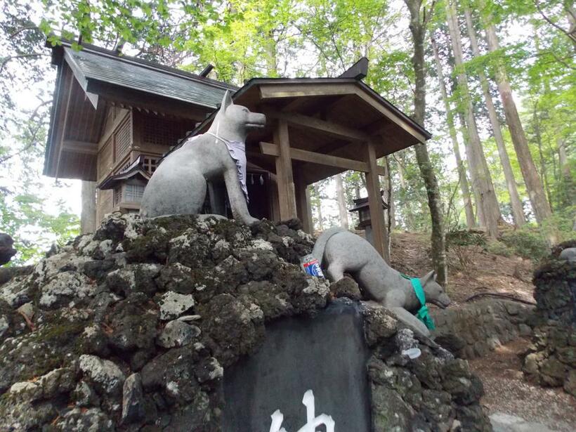 「遠宮」（眷属のお宮）前の狛犬ならぬ狛狼