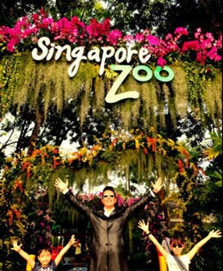 世界一美しいと評されるシンガポール動物園にて。会社の人間と信頼関係が気付けないと、仕事の効率も下がる。余暇の時間を作るためにもコラボレーションは大事だ
