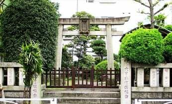 「野見宿禰」が読めなきゃ相撲女子失格!? 相撲と神社の深い関係