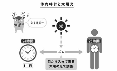 バイリンガルをめざすなら5、6歳。スマホアイに将来の選択肢を奪われないことが肝心だ