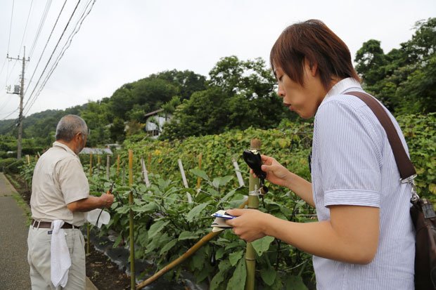 都内各地の地場食材の生産者を訪ねる青柳小の松丸さん。生産物への愛情と子どもへの愛情が交差する(撮影/写真部・山本友来)