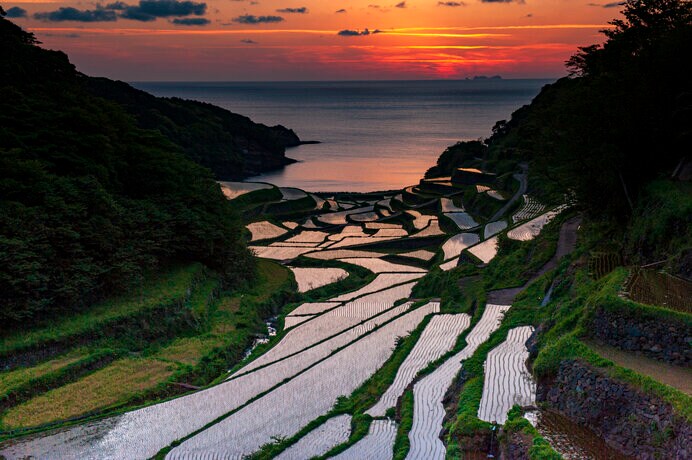 水田の治水力、土止め機能、地下水の涵養。日本の国土は水田なしに成り立ちません