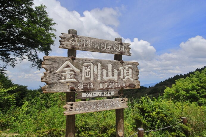 ギンバイソウが咲く梅雨明け前がおすすめ