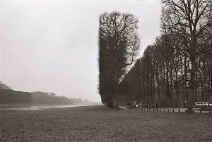 小雨のなか、傘を差しながら撮ったベルサイユ宮殿の庭。ライカは条件が悪ければ悪いほど力を発揮するという