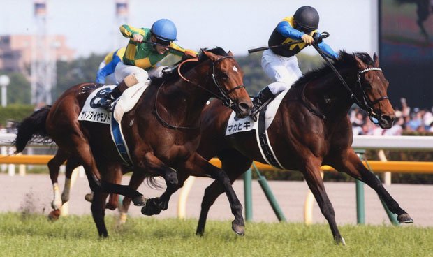 今年の日本ダービーで優勝したマカヒキ（右）が、日本馬初の凱旋門賞制覇に挑む（ＪＲＡ提供）　（ｃ）朝日新聞