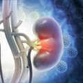 「腎臓リハビリで筋力維持を!」と専門医 足腰が弱って人工透析に通えなくなる患者が増加