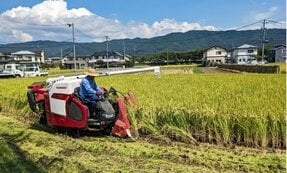 「令和の米騒動」救うカギは「高温耐性品種」　コシヒカリ“一強”は終わり“群雄割拠”の時代へ