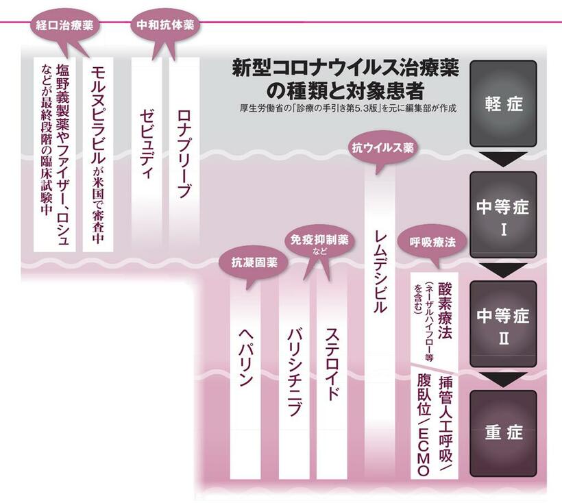 （ＡＥＲＡ　２０２１年１０月２５日号より）