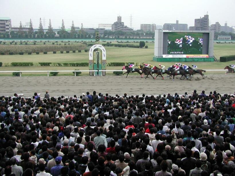 最近は馬券の売り上げが回復傾向※画像はイメージ