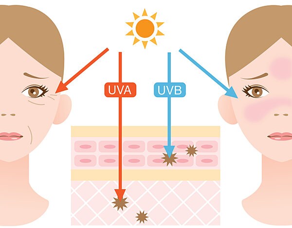 紫外線A波とB波による肌へのダメージ（イメージ）