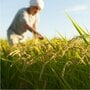 ｢米を増産せよ｣の大号令に｢今さら無理｣と農家の怒り   9割が「経営が苦しい」崖っぷちの事情