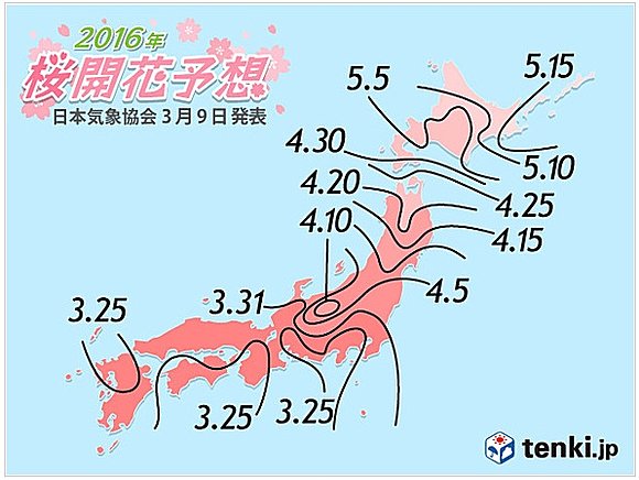 各地の桜（ソメイヨシノほか）の2016年予想開花日・予想満開日（3月9日発表）