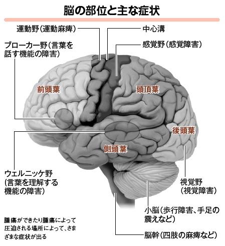 （イラスト／今崎和広）