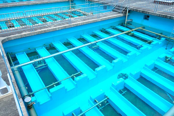 老廃物を除去する「リンパ系」は体内の下水道とも言われる