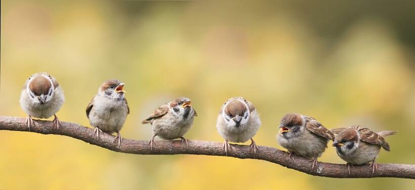 ※写真はイメージです　（Ｇｅｔｔｙ　Ｉｍａｇｅｓ）