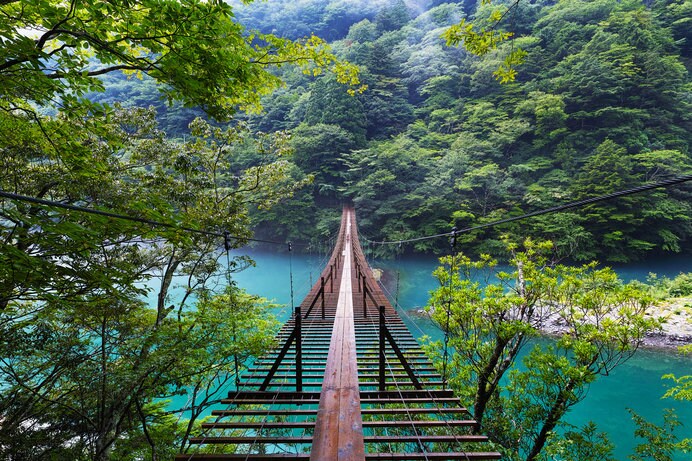 夢の吊橋は神秘的な美しさ。高所恐怖症の方はご用心！