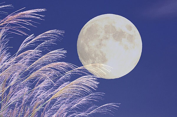 今年の中秋の名月（今週日曜日）は、月が地球に大接近！　お月見には最高です