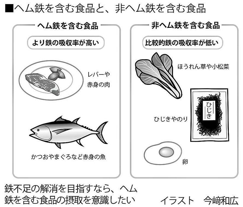 ヘム鉄を含む食品と非ヘム鉄を含む食品