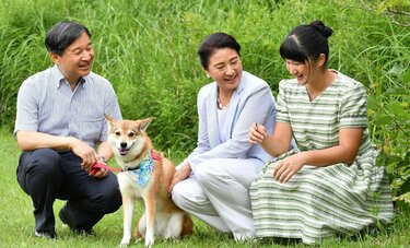 愛子さまが手づくり?愛犬「由莉」に「おにぎり柄」のバンダナ 絆の証のリンクコーデ
