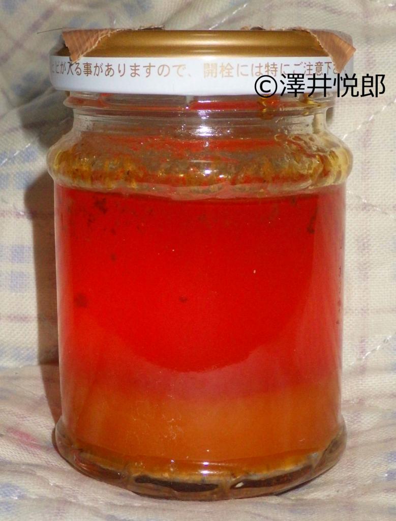 今回初めて作ったマンボウ肝油（c）澤井悦郎