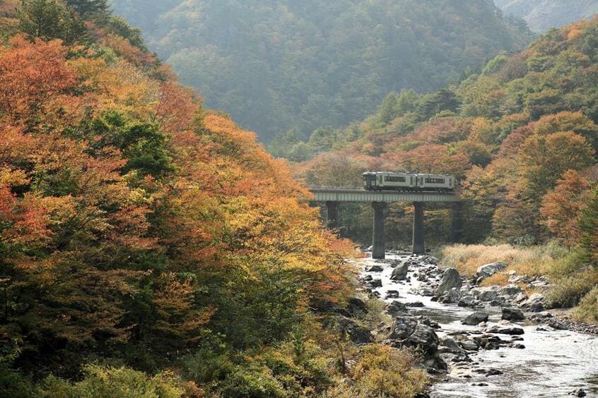 岩手県宮古市を流れる閉伊川(へいがわ)を渡るキハ100系(写真/photolibrary)