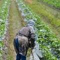 「老害化前に集団自決」発言で考える世代間対立 標的になるのは 貧困の高齢者