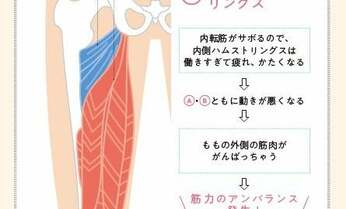 関節痛の原因は「サボリ筋」だった! “関トレ”提唱者が教える痛みの消し方