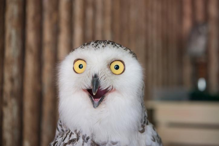 ※写真はイメージです（GettyImages）