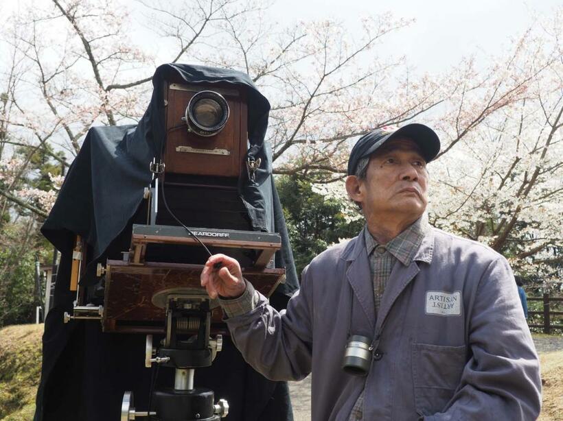 島根県浜田市で三隅大平桜を16×20インチ大判カメラで撮影する三好さん（撮影：米倉昭仁）
