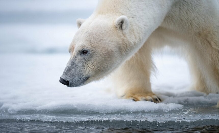 （写真はイメージ／GettyImages）