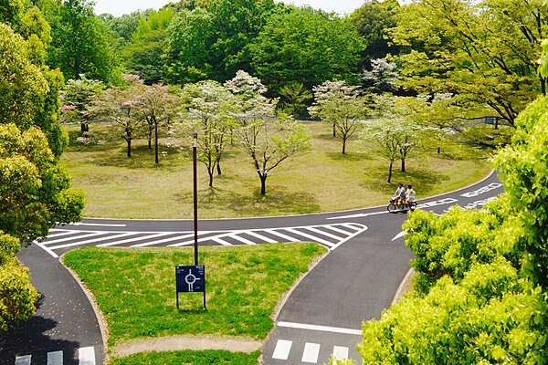 昭和記念公園のサイクリングコース
