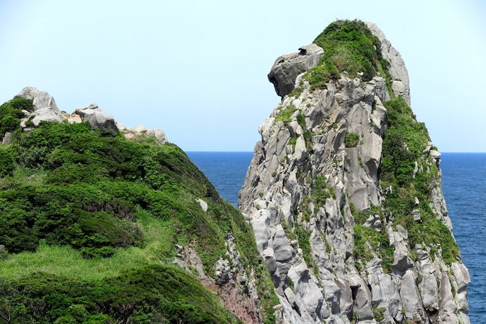 この岩、何かに似ていませんか？……そう、サル！