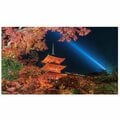 秋の京都は「紅葉×世界遺産」がいい!「ライトアップ」を制するための5つのポイントとは?