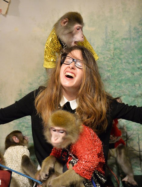 居酒屋かやぶき欧州ではできない猿との触れ合い「イタリアでは、猿は動物園にしかいなくて見るだけ。このように触れ合えるなんて……」と歓喜と驚愕が交じり合った悲鳴を上げるのは、イタリアから来たベネレッタさん（撮影／写真部・東川哲也）
<br />