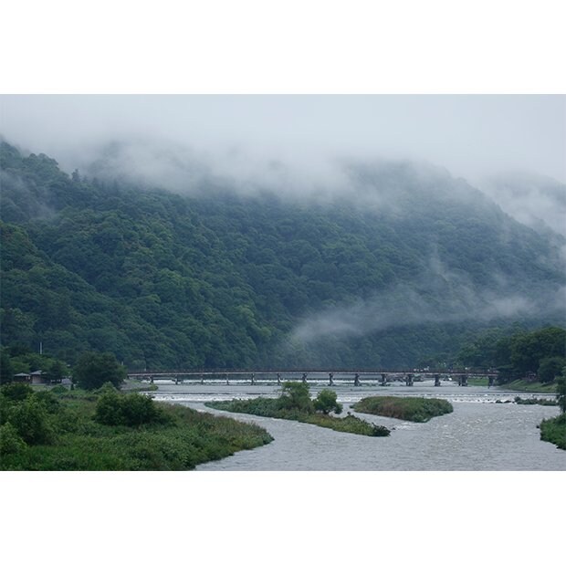 雨に煙る嵐山　2泊3日撮影旅行「春の京都を撮る」から　撮影：中田昭