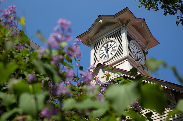 札幌市時計台にも、ライラックが咲き誇る。