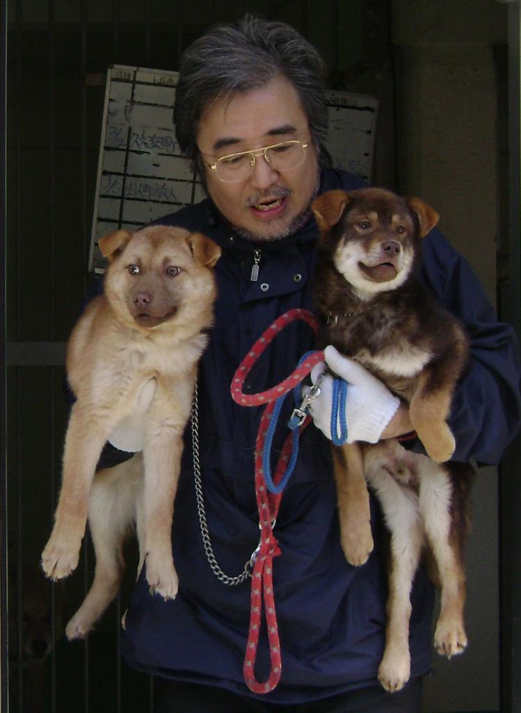 震災後の山奥で野犬として捕獲された金次（右）と銀次。大木さんが殺処分直前のガス室から救出した　（国際セラピードッグ協会提供）