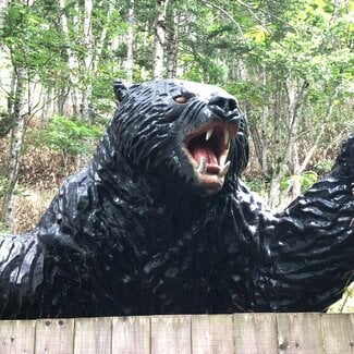国内史上最悪の「三毛別ヒグマ事件」は“人災”だった 無防備で生息域に送り込まれた入植者の悲劇