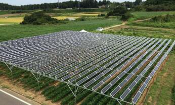 農村再生の切り札か?農業兼太陽光発電所の新システムとは