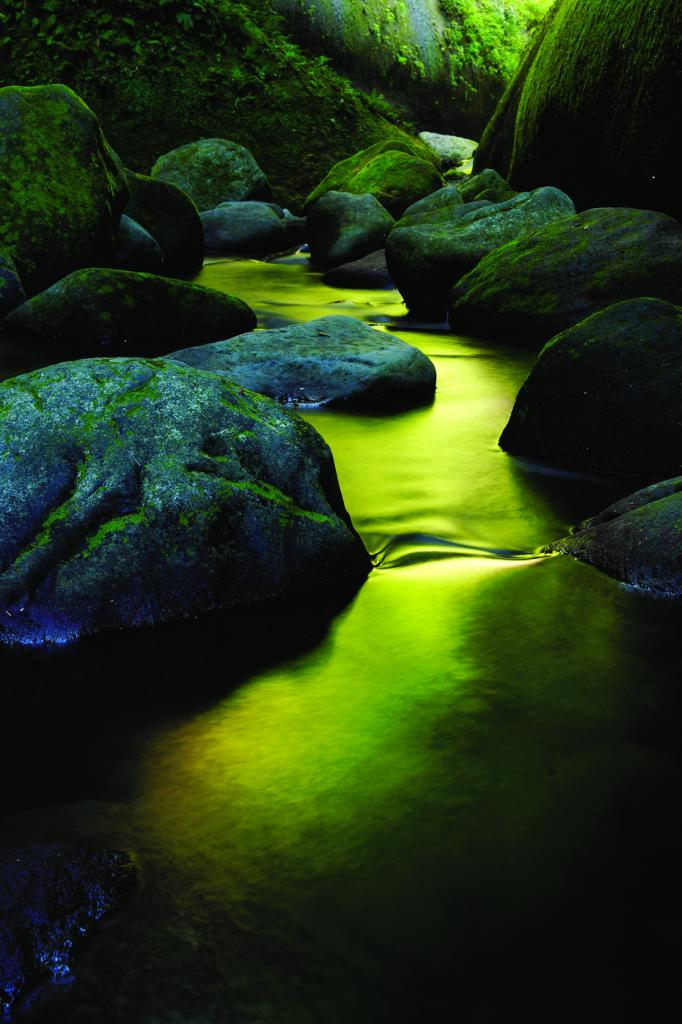 由布川峡谷（大分県由布市、別府市）。夕暮れどきの光に照らされた緑が暗い峡谷の水面に映り込んでいた。映り込みの色はカメラポジションによって微妙に変化する。絞りをf16まで絞り込み、6秒の長秒露出で水の流れを消した■ソニーα99・ミノルタ AF ZOOM 24～85ミリF3.5～4.5 NEW・ISO100・絞りf16・6秒・PLフィルター
