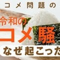 【問題の真相】「令和のコメ騒動」はなぜ起こったか 酷暑から数字のカラクリまで【徹底解説】