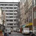 築地市場を走りまわる「ターレ」の謎に迫る