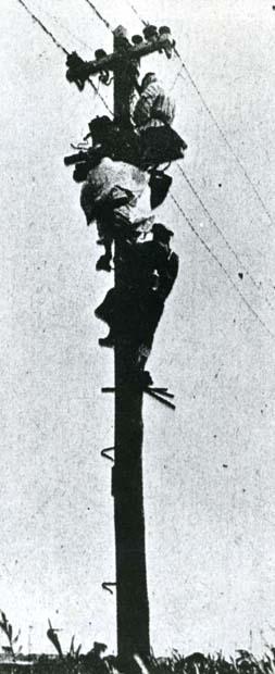 第9回(1923年)、試合見たさで電柱によじ登って観戦するファン (c)朝日新聞社